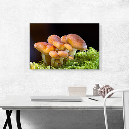 Mushrooms Home decor