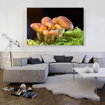 Mushrooms Home decor