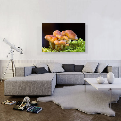 Mushrooms Home decor