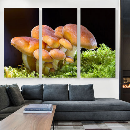Mushrooms Home decor