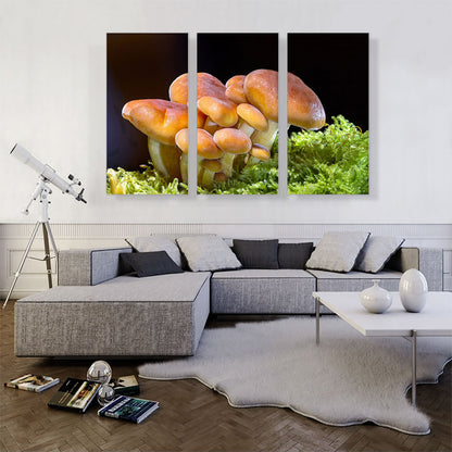 Mushrooms Home decor