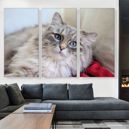 Norwegian Forest Cat Home decor