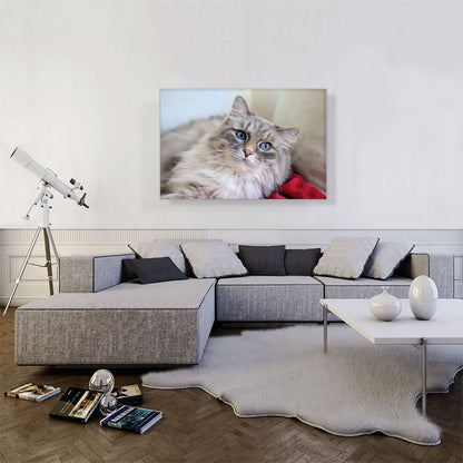 Norwegian Forest Cat Home decor