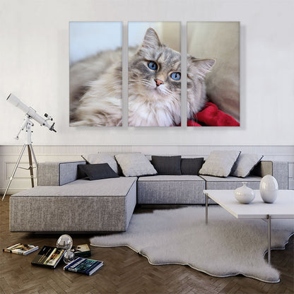 Norwegian Forest Cat Home decor