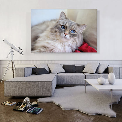 Norwegian Forest Cat Home decor