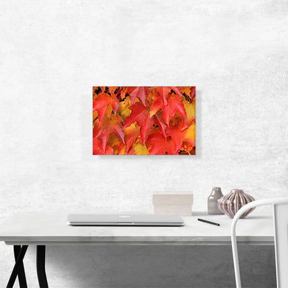 Oak Tree Leaves Home decor