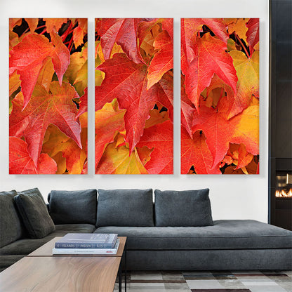 Oak Tree Leaves Home decor