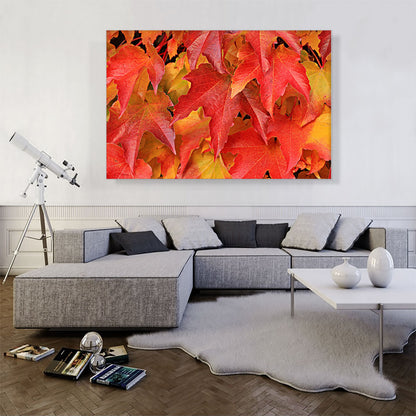Oak Tree Leaves Home decor