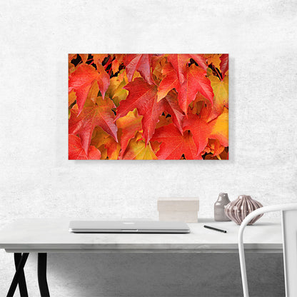 Oak Tree Leaves Home decor