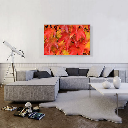 Oak Tree Leaves Home decor