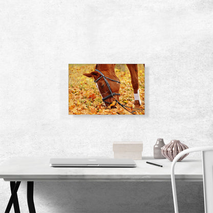 Autumn Horse Home decor