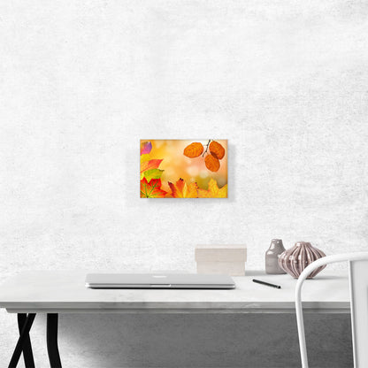 Autumn Wood Leaves Home decor