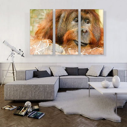 Orangutan Monkey Home decor