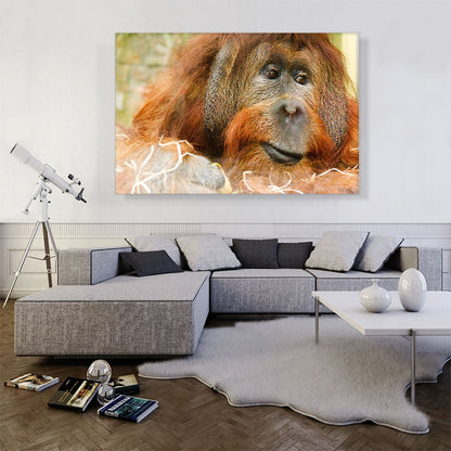 Orangutan Monkey Home decor
