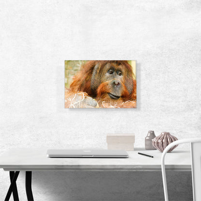 Orangutan Monkey Home decor