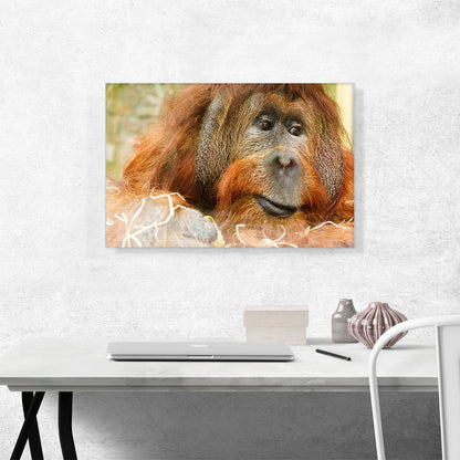 Orangutan Monkey Home decor