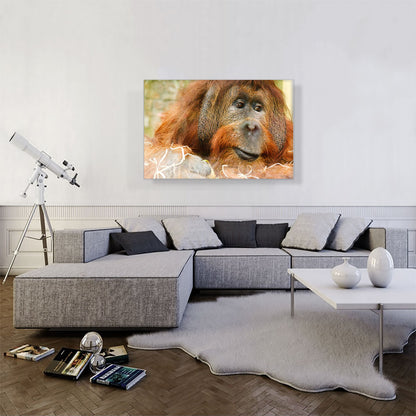 Orangutan Monkey Home decor