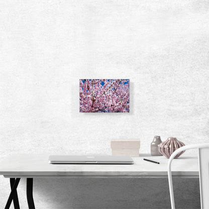 Orchard Tree Blossoms Home Decor Rectangle