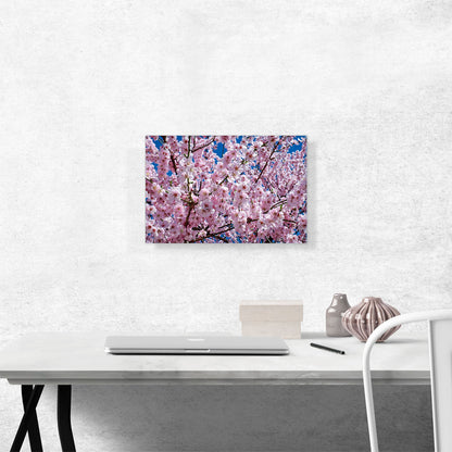 Orchard Tree Blossoms Home Decor Rectangle