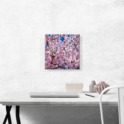 Orchard Tree Blossoms Home Decor Square