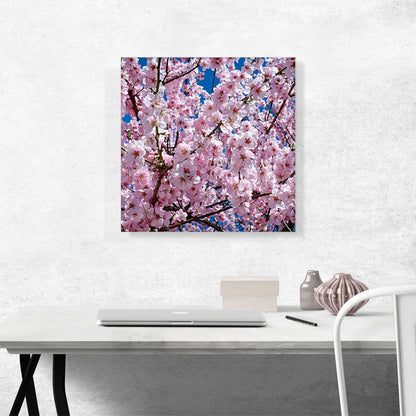 Orchard Tree Blossoms Home Decor Square