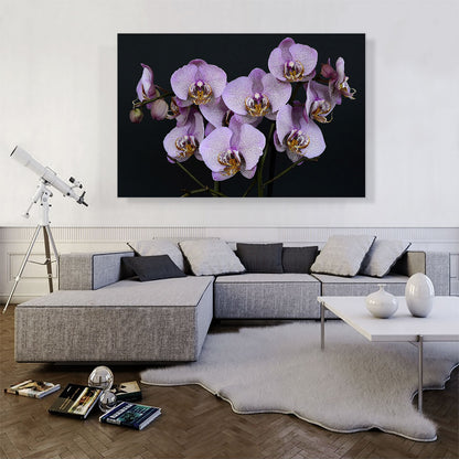 Orchids Flowers Home decor