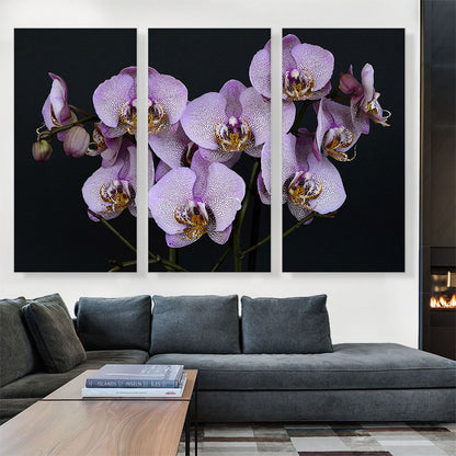 Orchids Flowers Home decor