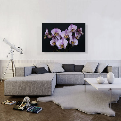 Orchids Flowers Home decor