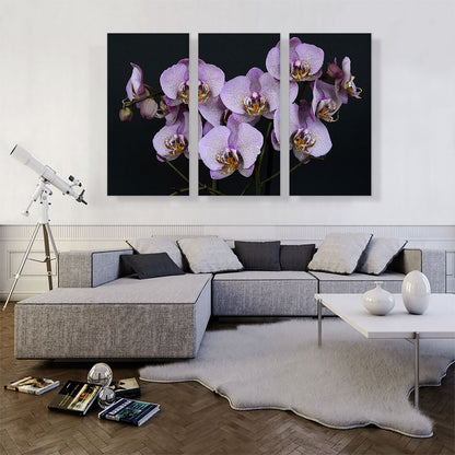 Orchids Flowers Home decor