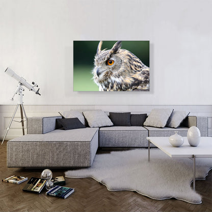 Owl Portrait Home decor