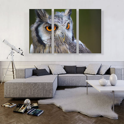 Owl Portrait In Woods Home decor