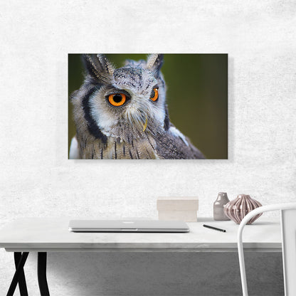 Owl Portrait In Woods Home decor