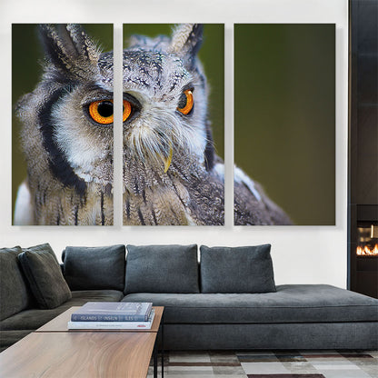 Owl Portrait In Woods Home decor