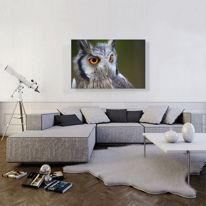 Owl Portrait In Woods Home decor