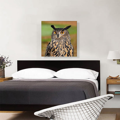 Owl With Orange Eyes Home decor