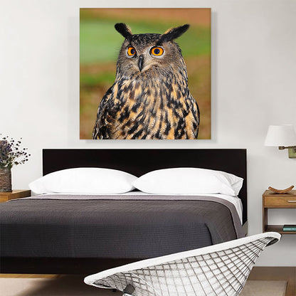 Owl With Orange Eyes Home decor
