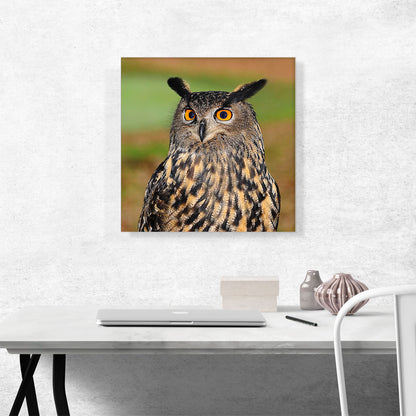 Owl With Orange Eyes Home decor
