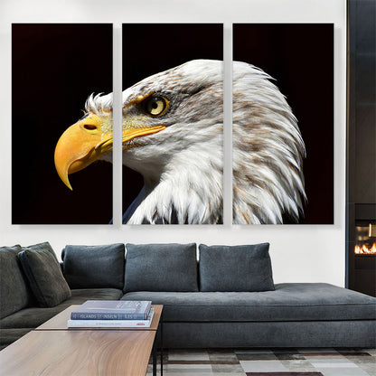 Bald Eagle Portrait Home decor