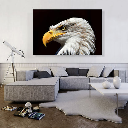 Bald Eagle Portrait Home decor