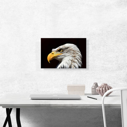 Bald Eagle Portrait Home decor