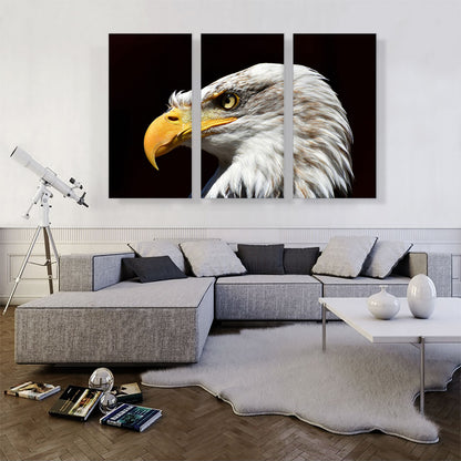 Bald Eagle Portrait Home decor