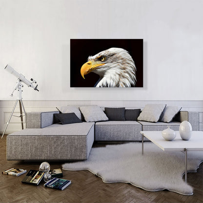 Bald Eagle Portrait Home decor