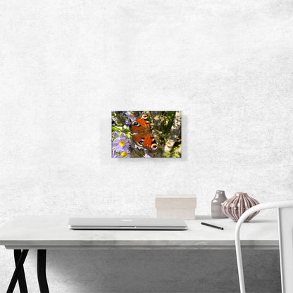 Peacock Butterfly On Flowers Home Decor Rectangle