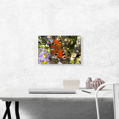 Peacock Butterfly On Flowers Home Decor Rectangle