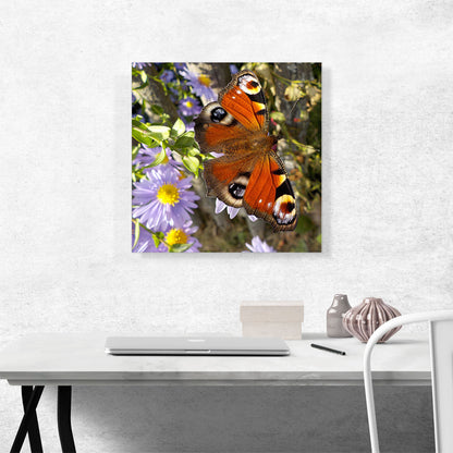 Peacock Butterfly On Flowers Home decor Square