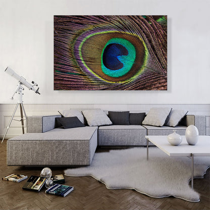 Peacock Feather Home decor