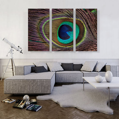 Peacock Feather Home decor