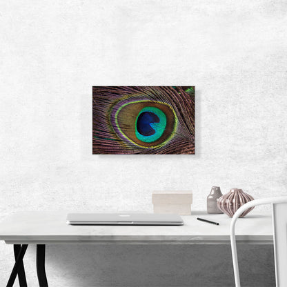 Peacock Feather Home decor