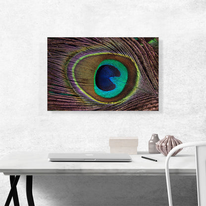 Peacock Feather Home decor