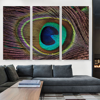 Peacock Feather Home decor